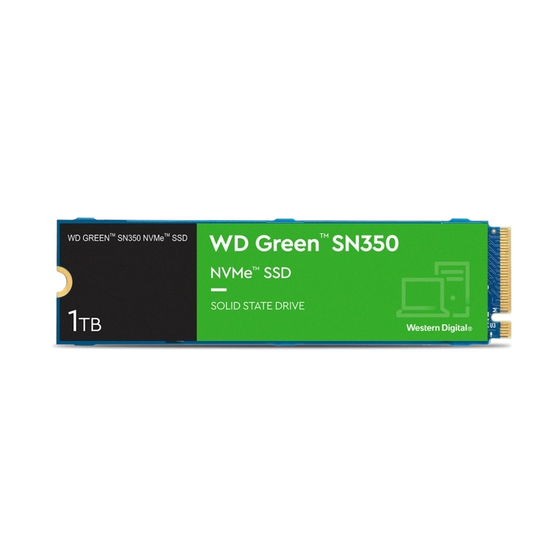 WDS100T3G0C-2